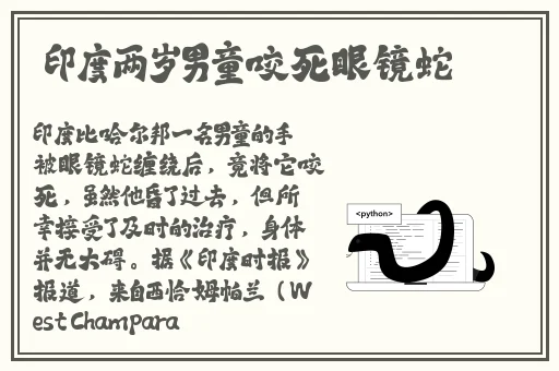 国产黄大片在线观看画质优化